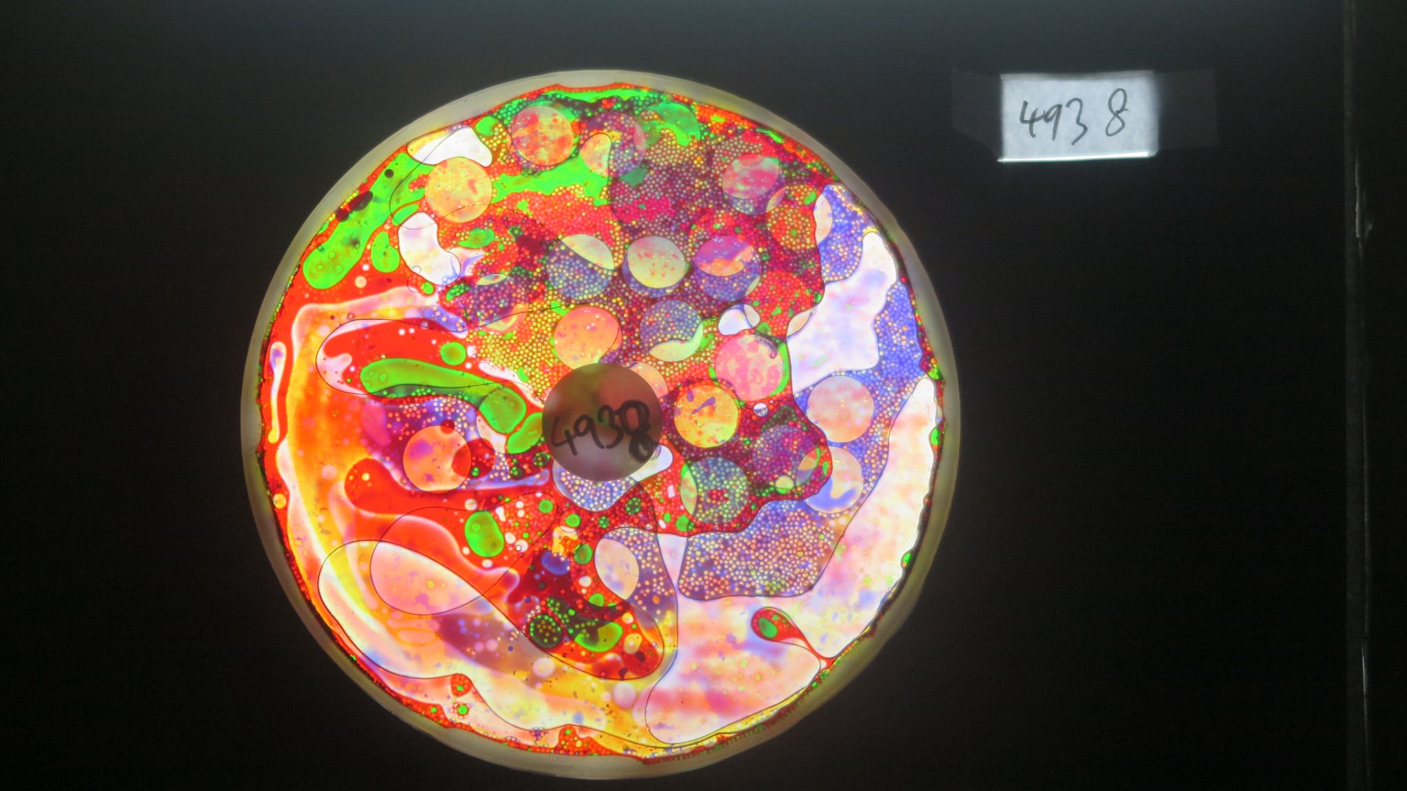 BV4938 bubble vision oil wheel